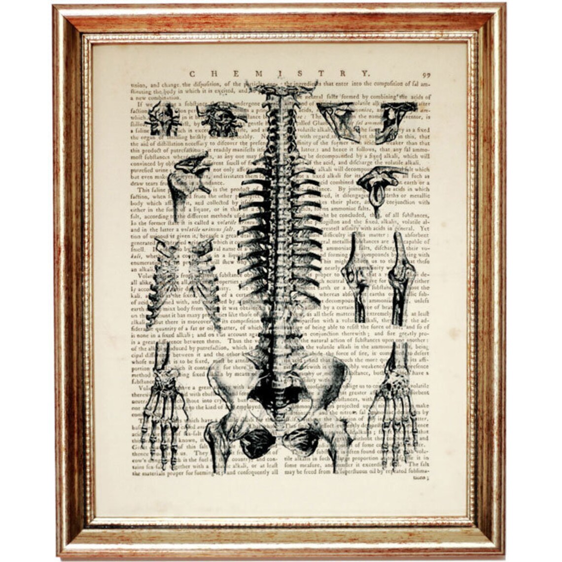 Human Anatomy Poster Set of 4 Prints Human Brain Heart Biology Diagrams