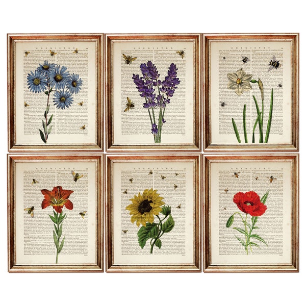 Set of 6 Wall Art, Flower with Bee Wall Decor, Botanical Poster Print, Flowers Dictionary Art Print, Sunflower Wall Art