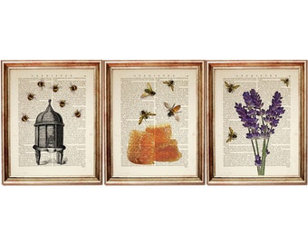 Set di 3 stampe vintage di api, decorazioni murali con favi e lavanda, stampe di dizionari