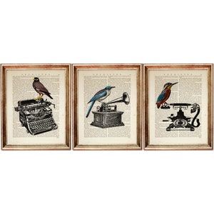 Set di 3 stampe, pagina di dizionario vintage di uccelli, uccelli con macchina da scrivere, grammofono, telefono, poster di arte murale antica