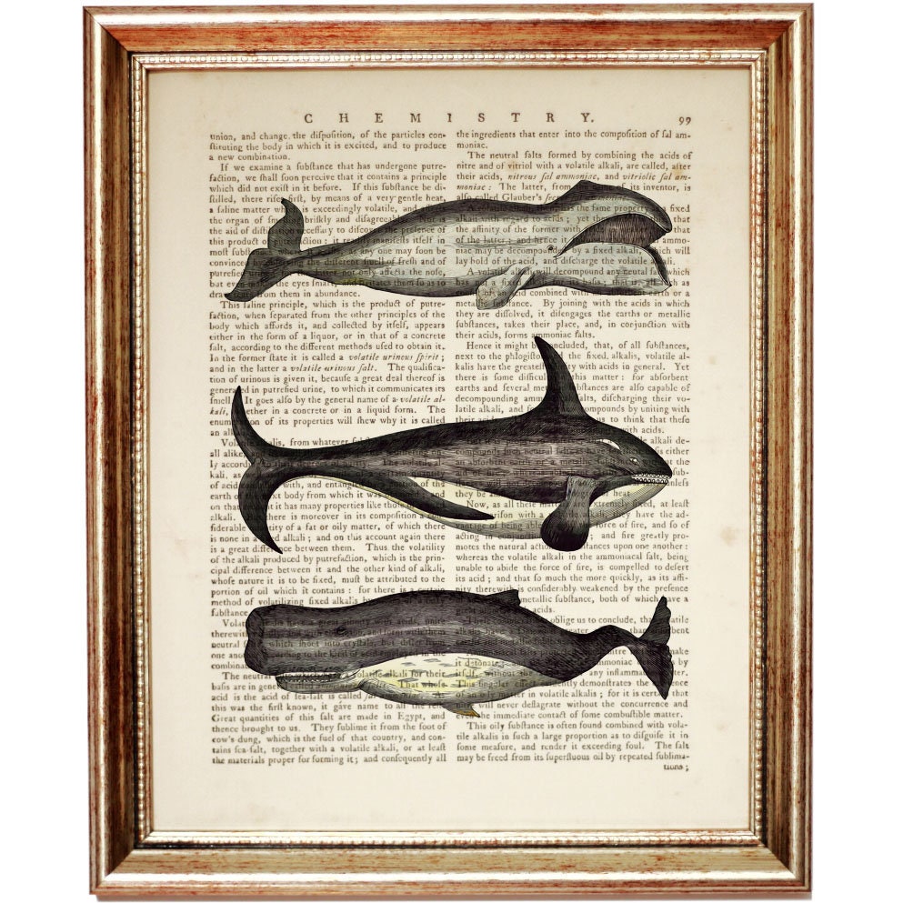 Whale Dictionary Art Print, Nautical Species Vintage Wall Art, Maritime Book Page Art, Ocean Lover Wall Decor, Whale Poster