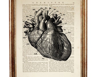 Anatomical Human Heart Art Print, Vintage Medical Dictionary Page Poster, Cardiology Wall Decor, Anatomy Diagram Gift for Doctors