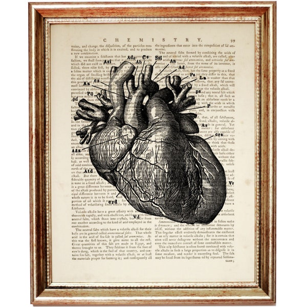 Anatomical Heart Art Print, Human Anatomy Wall Art, Medical Dictionary Art Print, Heart Wall Decor, Anatomy Diagram Poster