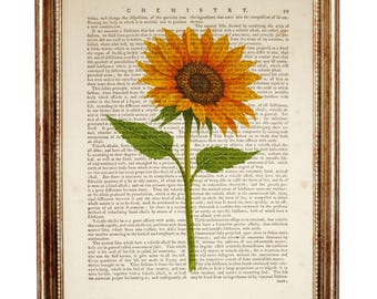 Sunflower Art Print, Vintage Book Page, Botanical Wall Art, Nature Sunflower Wall Decor, Rustic Flower Art