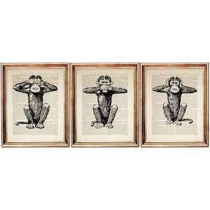 May include: Three black and white illustrations of monkeys, each covering a different part of their face. The first monkey covers its eyes, the second covers its ears, and the third covers its mouth. The illustrations are printed on a vintage book page background.