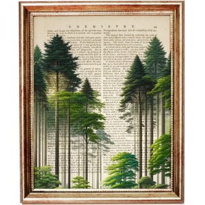 Puede incluir: Una portada de libro vintage con una escena de bosque impresa en ella. La portada del libro es de color marrón claro con texto blanco. La escena del bosque es de color verde oscuro con un sotobosque verde claro. El texto en la portada del libro dice "CHEMISTRY."
