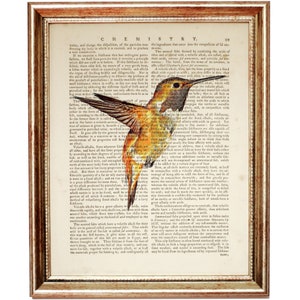 Puede incluir: Una impresi&oacute;n enmarcada con una ilustraci&oacute;n de colibr&iacute; superpuesta en una p&aacute;gina de libro de texto de qu&iacute;mica vintage. El ave muestra plumaje naranja, marr&oacute;n y blanco. El texto de fondo se titula CHEMISTRY e incluye el n&uacute;mero de p&aacute;gina 99.