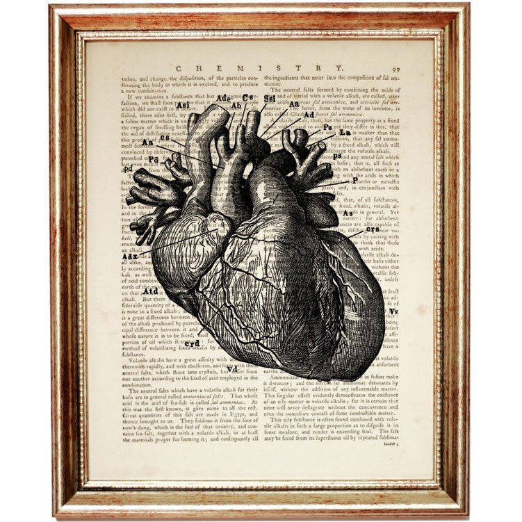 Herz-Anatomie Poster Set (3er) - Medizinische Illustration DIN A4 - Ideal Für Arztpraxis, Studenten Oder Als Geschenk