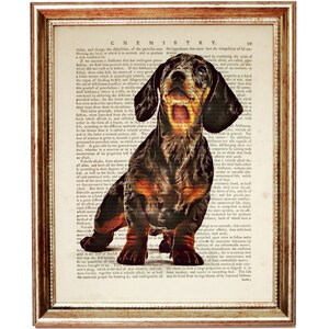 Dachshund Poster, Dog Wall Art, Vintage Dachshund Dictionary Art Print, Dog Lover Gift, Pet Wall Decor