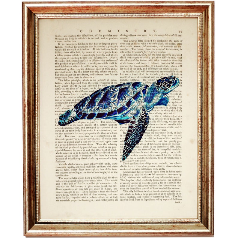 Puede incluir: Una p&aacute;gina de libro vintage con una ilustraci&oacute;n de una tortuga marina azul y blanca. El texto de la p&aacute;gina trata sobre qu&iacute;mica y las propiedades de las sales.