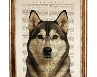 May include: A framed print showcasing a husky dog's portrait, set against a backdrop of a vintage book page. The text "CHEMISTRY" is visible at the top. The frame has a warm, golden hue.