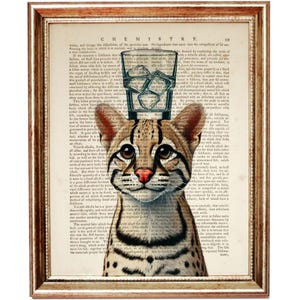Può includere: Una pagina di libro vintage con un'illustrazione in bianco e nero di un ocelot con un bicchiere di acqua ghiacciata sulla testa. Il testo sulla pagina è tratto da un libro di testo di chimica.