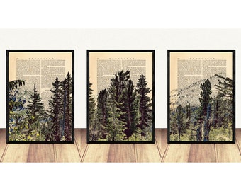 Set of 3 Forest Prints, Trees on Dictionary Book Page, Nature Wall Art