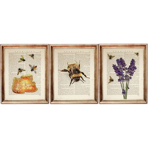 3er-Set Prints, Botanisches Wörterbuch Kunstdruck, Bienenwabe Poster, Hummel Kunstwerk, Lavendel mit Bienen Wanddekoration, Florale Wandkunst