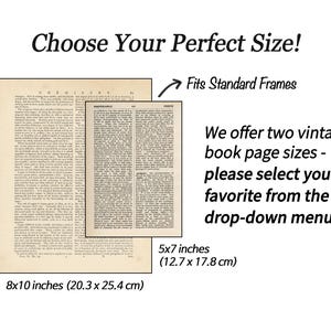 Set of 3 Prints, Sunflower Dictionary Book Page Art, Lavender with Bee Art Prints, Botanical Wall Art, Nature Wall Decor image 2