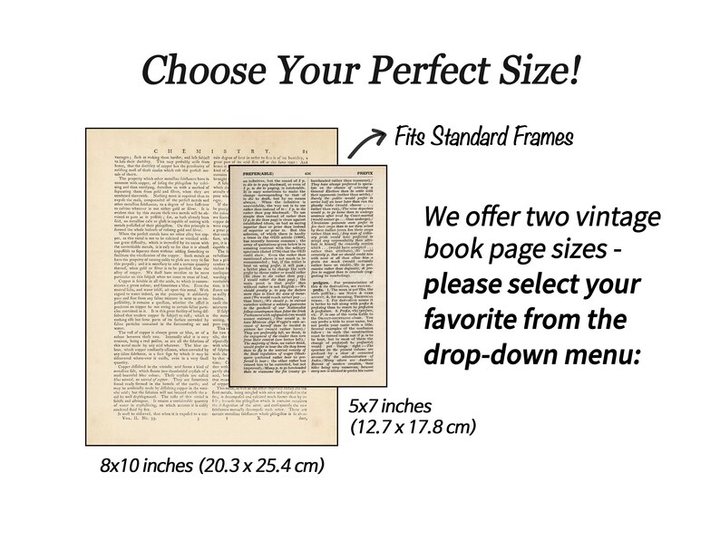 Set of 3 Prints, Sunflower Dictionary Book Page Art, Lavender with Bee Art Prints, Botanical Wall Art, Nature Wall Decor image 2