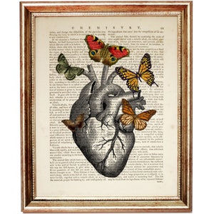 Anatomical Heart Print, Heart with Butterflies Dictionary Art Print, Human Anatomy Poster, Medical Artwork, Medical School