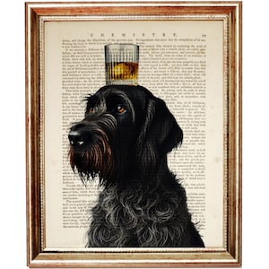 Könnte beinhalten: Eine Schwarzweißillustration eines Hundes mit einem Glas bernsteinfarbener Flüssigkeit auf dem Kopf. Das Bild ist auf eine Vintage-Buchseite mit dem Text "CHEMIE" oben gelegt.