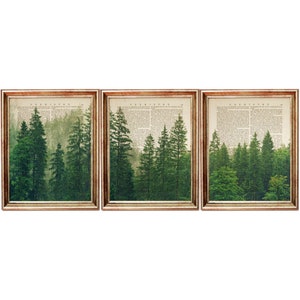 Wald Print, 3er-Set Prints, Wald Wandkunst, 3er-Set Wandkunst, Kiefernwald Wörterbuch Kunstdruck, Natur Print
