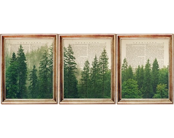 Forest Print, Set of 3 Prints, Forest Wall Art, Set of 3 Wall Art, Pine Forest Dictionary Art Print, Nature Print
