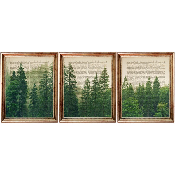 Forest Print, Set van 3 Prints, Forest Wall Art, Set van 3 Wall Art, Pine Forest Dictionary Art Print, Natuur Print 8x10 print