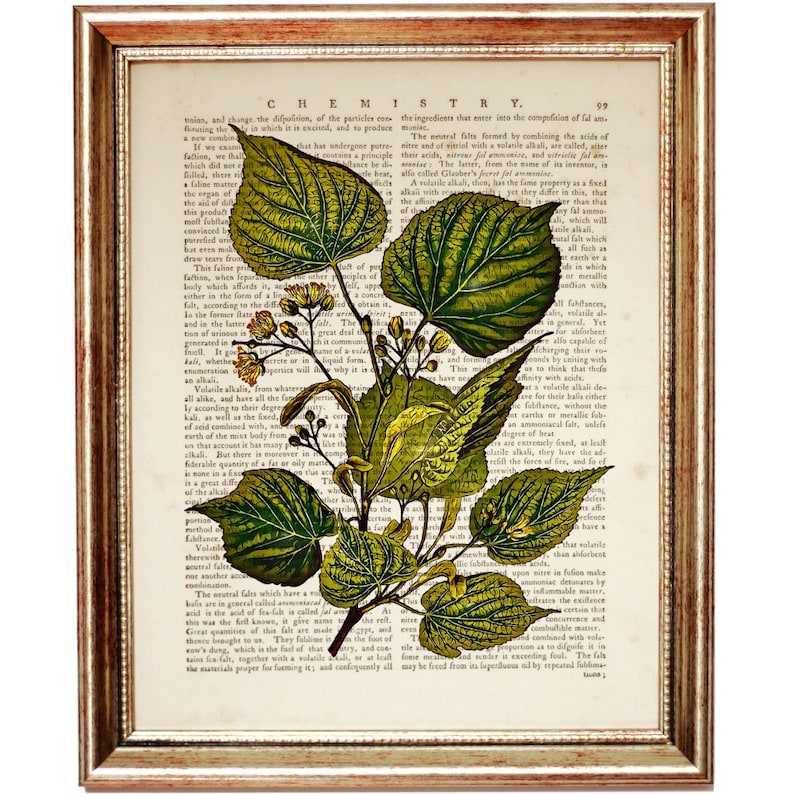 Set of 4 Prints Botanical Wall Art Set of 4 Herb Print Set Etsy
