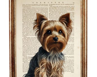 Pode incluir: Um cão Yorkshire Terrier marrom e preto com pelo comprido está sentado em uma página de livro vintage com texto sobre química. O cão está olhando diretamente para o espectador.