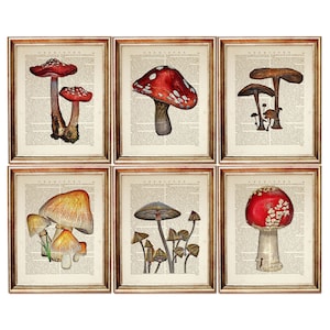 Set of 6 Prints Mushroom Wall Art, Mushroom Dictionary Art Print, Mushroom Poster, Mushroom Artwork, Botanical Book Page Art