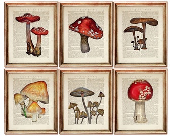 Juego de 6 láminas de arte mural de hongos, impresión artística de diccionario de hongos, póster de hongos, obra de arte de hongos, arte de libros botánicos
