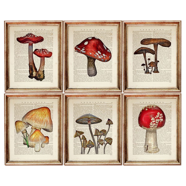 Ensemble de 6 estampes d’art mural de champignons, impression d’art de dictionnaire de champignons, affiche de champignons, illustration de champignons, art de page de livre botanique