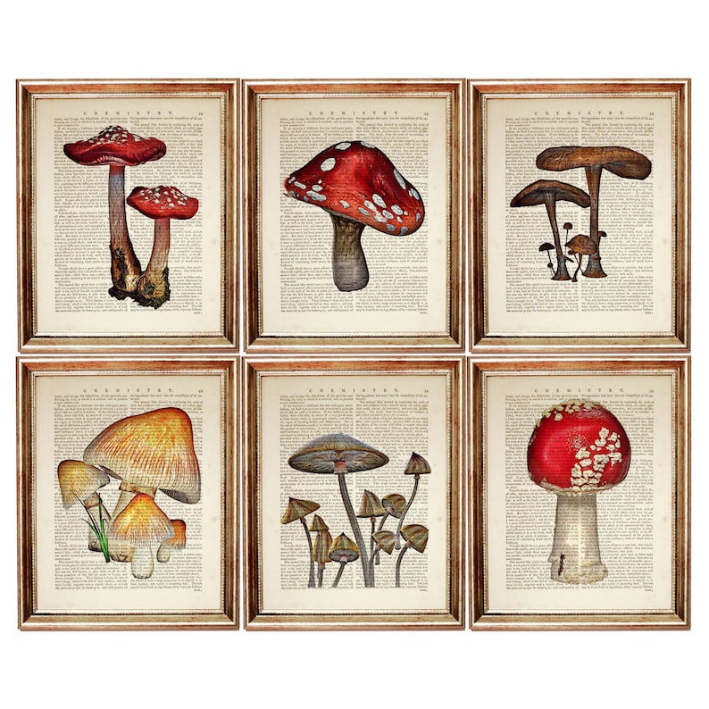 Set of 6 Prints Mushroom Wall Art Mushroom Dictionary Art Etsy