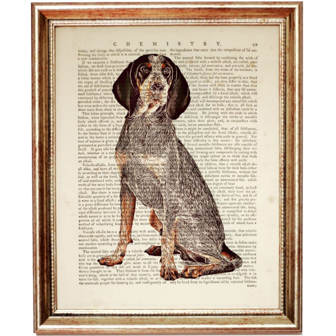 Bluetick Coonhound Dog Dictionary Art Print, Dog Nursery Wall