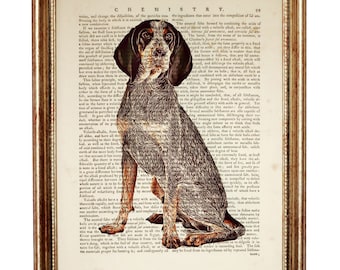 Multicolor 18x18 Bluetick Coonhound Pet Lover Party Bluetick Coonhound Dog Mom Mama Pet Lover Throw Pillow Multicolor 18x18 Bluetick Coonhound Pet Lover Party Bluetick Coonhound Dog Mom Mama Pet Lover Throw Pillow