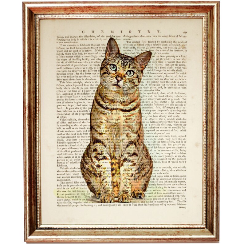 Puede incluir: Una ilustraci&oacute;n vintage de un gato atigrado sentado en una p&aacute;gina de un libro antiguo. El libro est&aacute; abierto en una p&aacute;gina con texto sobre qu&iacute;mica. El gato tiene ojos verdes y un patr&oacute;n rayado.