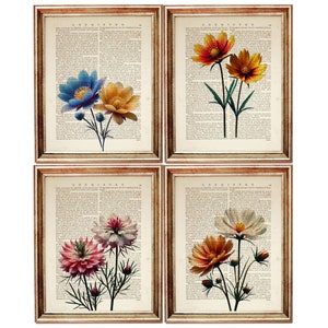 Set of 4 Botanical Art Prints, Flower Vintage Dictionary Page Art