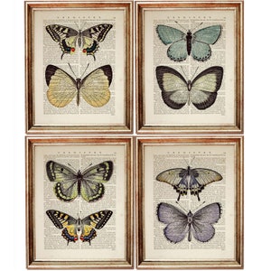 Set of 4 Prints, Butterfly Wall Art Print, Butterfly Nursery Decor, Dictionary Art Print Butterfly Wall Decor Butterfly Art