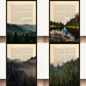 4er Set Wald Illustration, Wald Lexikon, Wald Wörterbuch, Natur Wand Kunst, Baum Poster, Natur Kunstwerk, Nationalpark Wandbehang, Geschenk