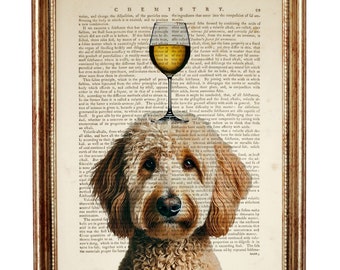 Goldendoodle mit Weinglas Poster, Hundelexikon Kunstdruck