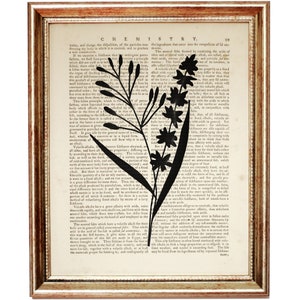 Op de afbeelding: Een ingelijst kunstwerk aan de muur met een zwarte silhouet van een botanische plant, gedrukt op een pagina uit een vintage scheikundeboek. De tekst bevat de kop CHEMISTRY en paginanummer 99. De lijst is van goudkleurig metaal met textuur.