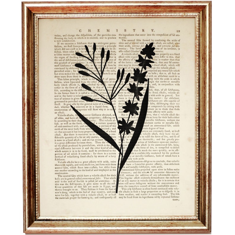 Op de afbeelding: Een ingelijst kunstwerk aan de muur met een zwarte silhouet van een botanische plant, gedrukt op een pagina uit een vintage scheikundeboek. De tekst bevat de kop CHEMISTRY en paginanummer 99. De lijst is van goudkleurig metaal met textuur.