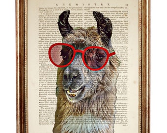 Llama with Sunglasses Dictionary Art Print, Funny Animal Portrait