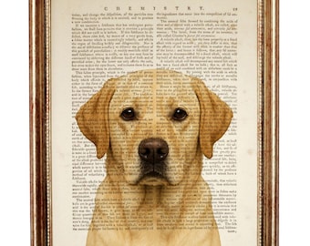 Labrador Retriever Art Print, Vintage Dictionary Page, Dog Lover Gift