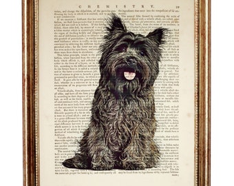 Stampa Cairn Terrier, stampa artistica del dizionario del cane Terrier, decorazione murale per cani, stampa di poster per animali domestici, opera d'arte sui cani