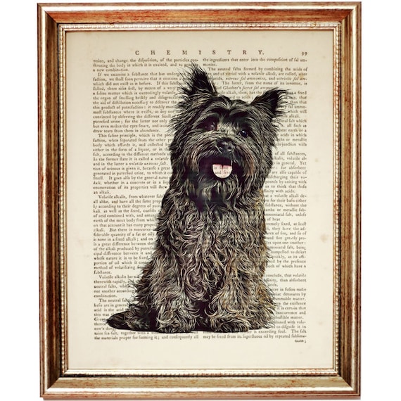Cairn Terrier Umbrella - Paw Print Cairn Terrier Umbrella - Paw Print