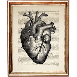 Vintage Anatomisches Herz Kunstdruck auf Wörterbuchseite, Medizinisches Wanddekor, Menschliches Anatomisches Poster