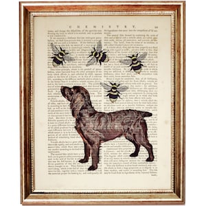May include: A vintage illustration of a brown and white dog with a bee on a page of an old book. The text on the page is about chemistry and the properties of salts. The illustration is in a gold frame.