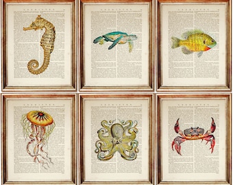 Set of 6 Sea Animal Prints, Seahorse Poster, Octopus Artwork, Jellyfish Wall Art, Crab, Turtle, Fish Dictionary Page
