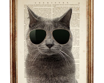 Cool Cat with Sunglasses Dictionary Art Print, Quirky Pet Wall Decor