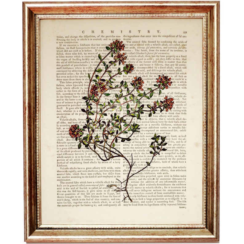 Set of 3 Prints Botanical Herbal Art Print, Herbal Dictionary Art Print, Botanical Prints Set of 3, Botanical Wall Art image 4