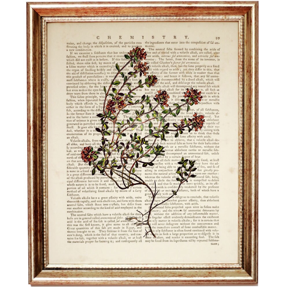 Set of 3 Prints Botanical Herbal Art Print Herbal Dictionary Etsy